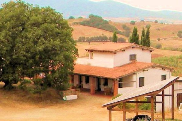 azienda agricola in vendita a Magliano in Toscana in zona Montiano
