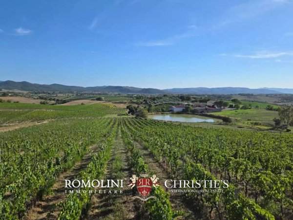casa indipendente in vendita a Magliano in Toscana