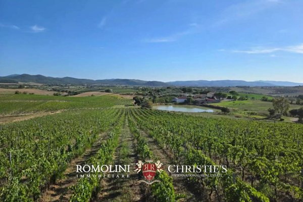 casa indipendente in vendita a Magliano in Toscana
