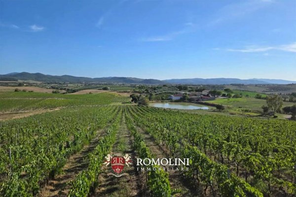 casa indipendente in vendita a Magliano in Toscana