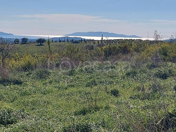 casa indipendente in vendita a Magliano in Toscana