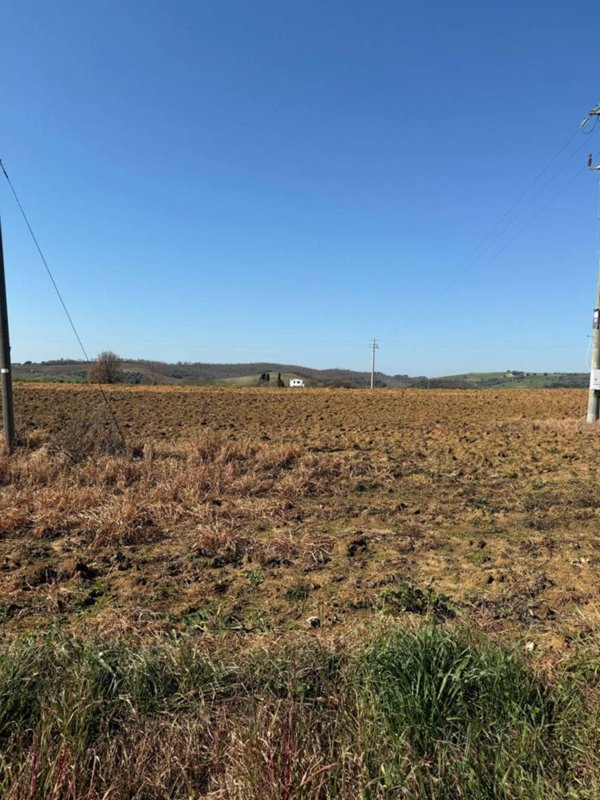 casa indipendente in vendita a Magliano in Toscana in zona Sant'Andrea