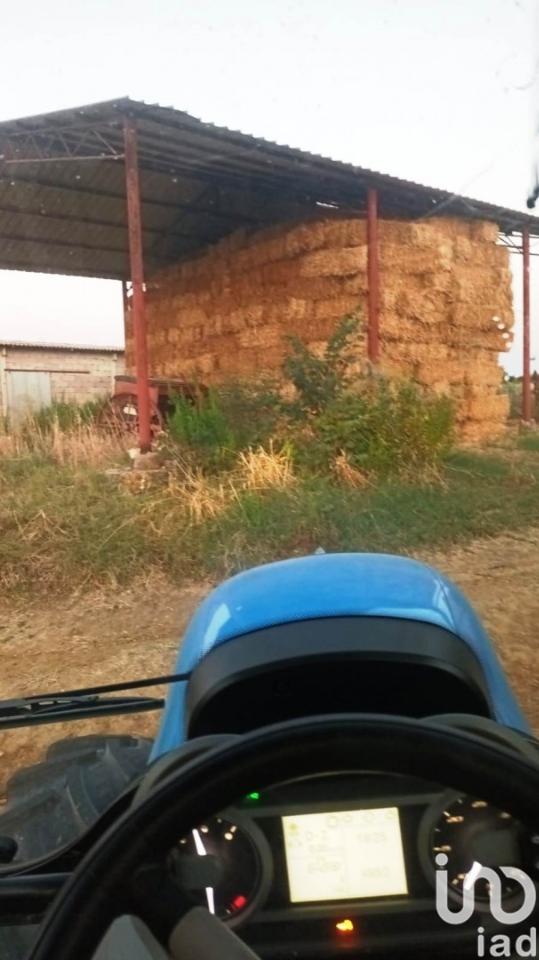 terreno agricolo in vendita a Magliano in Toscana