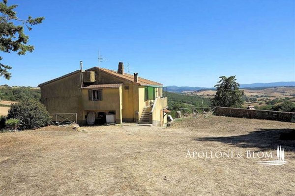 casa indipendente in vendita a Magliano in Toscana in zona Pereta