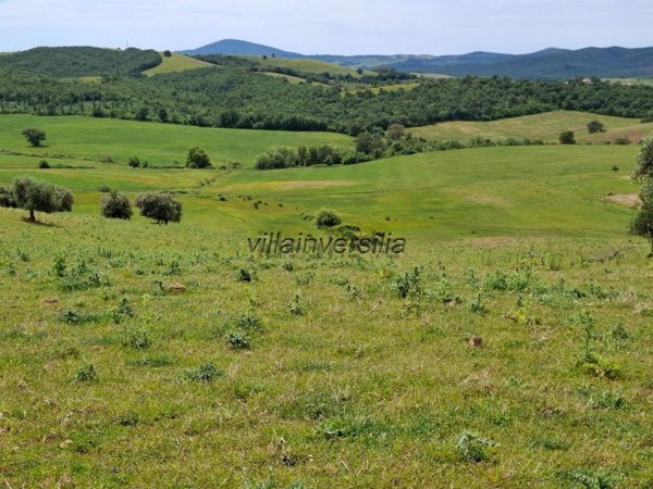 appartamento in vendita a Magliano in Toscana