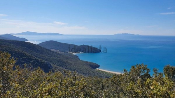 terreno edificabile in vendita a Magliano in Toscana