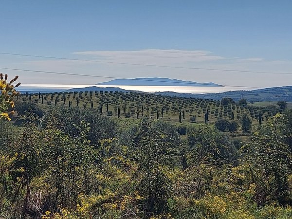 casa indipendente in vendita a Magliano in Toscana