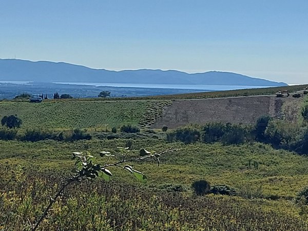 casa indipendente in vendita a Magliano in Toscana