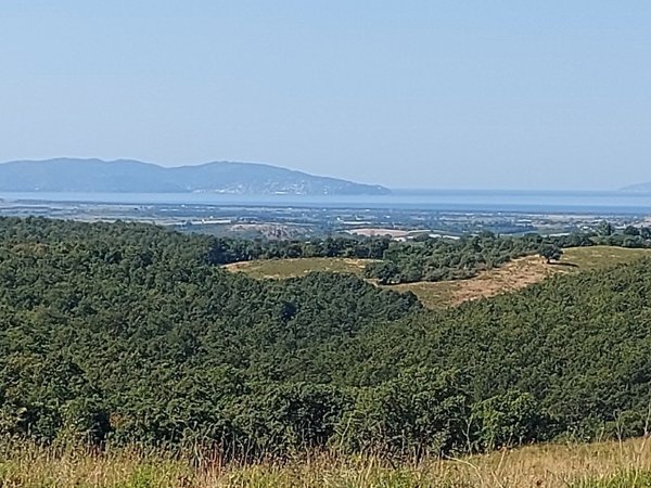 casa indipendente in vendita a Magliano in Toscana