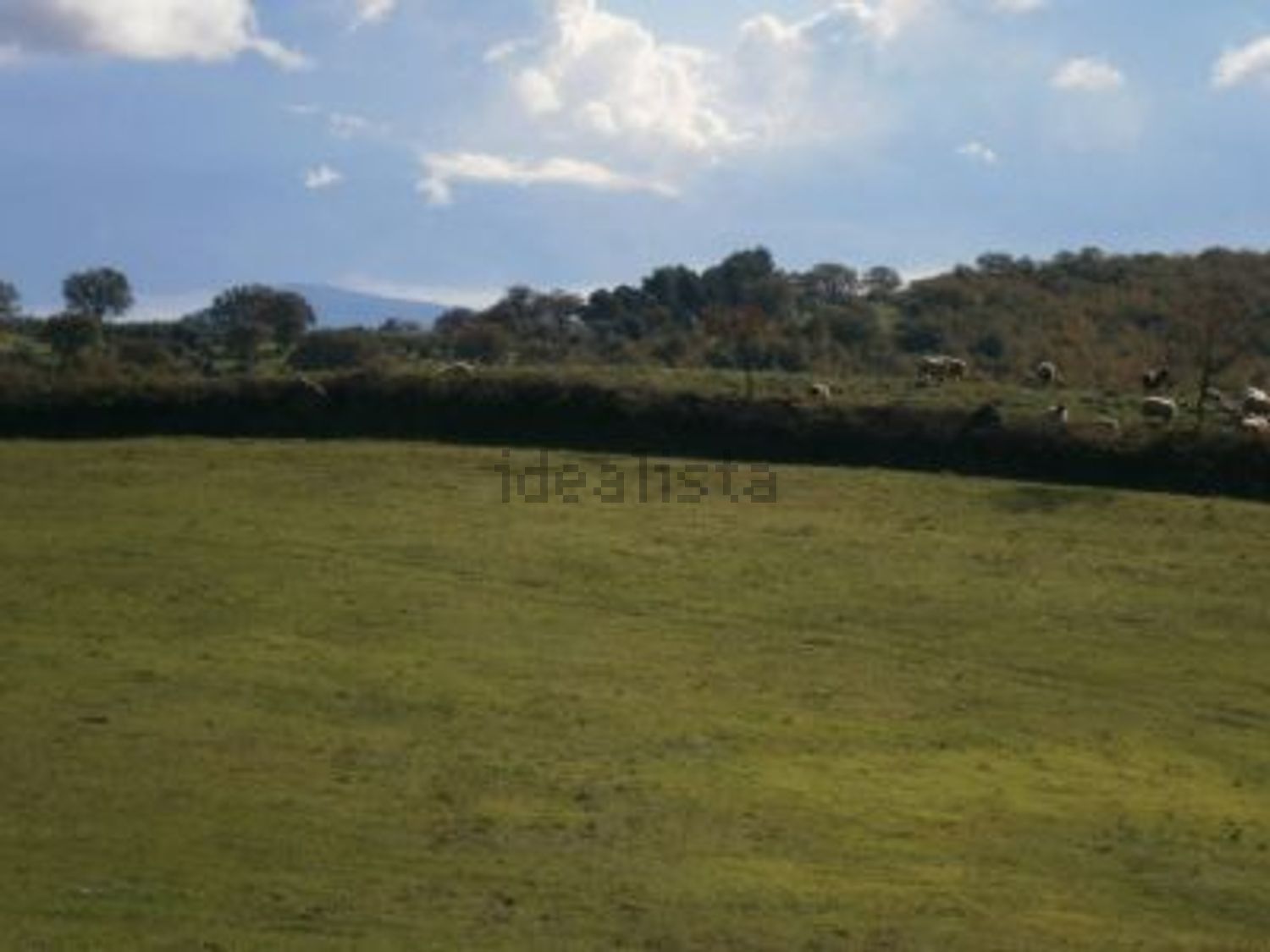 casa indipendente in vendita a Magliano in Toscana