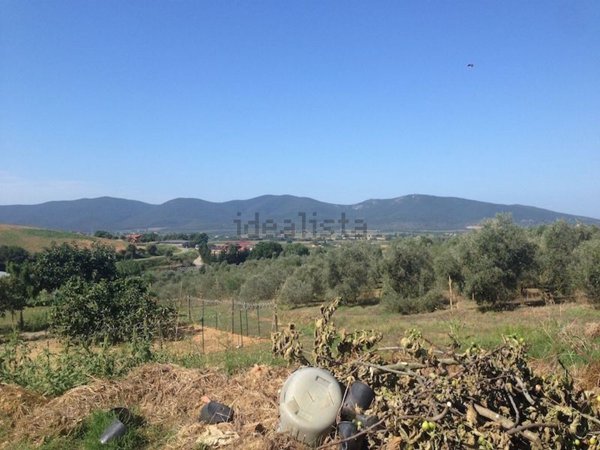 casale in vendita a Magliano in Toscana