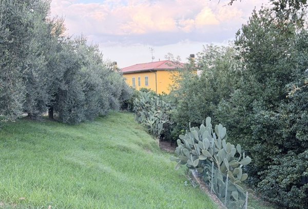 azienda agricola in vendita a Magliano in Toscana