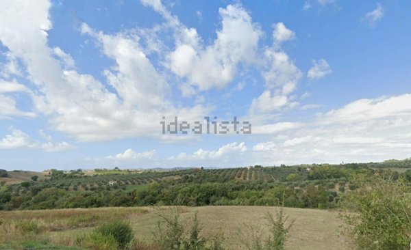 terreno edificabile in vendita a Magliano in Toscana