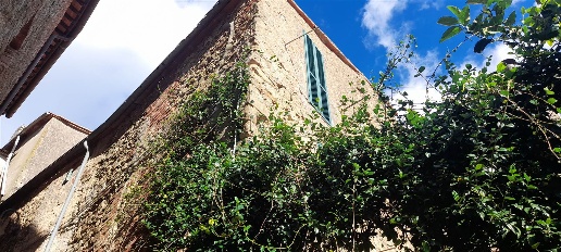 appartamento in vendita a Magliano in Toscana in zona Pereta