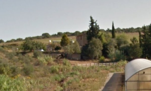 azienda agricola in vendita a Magliano in Toscana