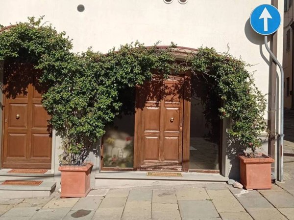 appartamento in vendita a Magliano in Toscana in zona Montiano