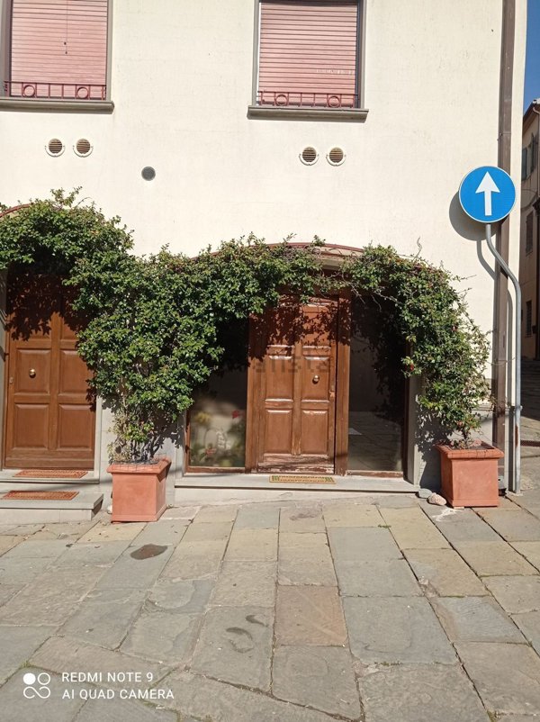 appartamento in vendita a Magliano in Toscana in zona Montiano