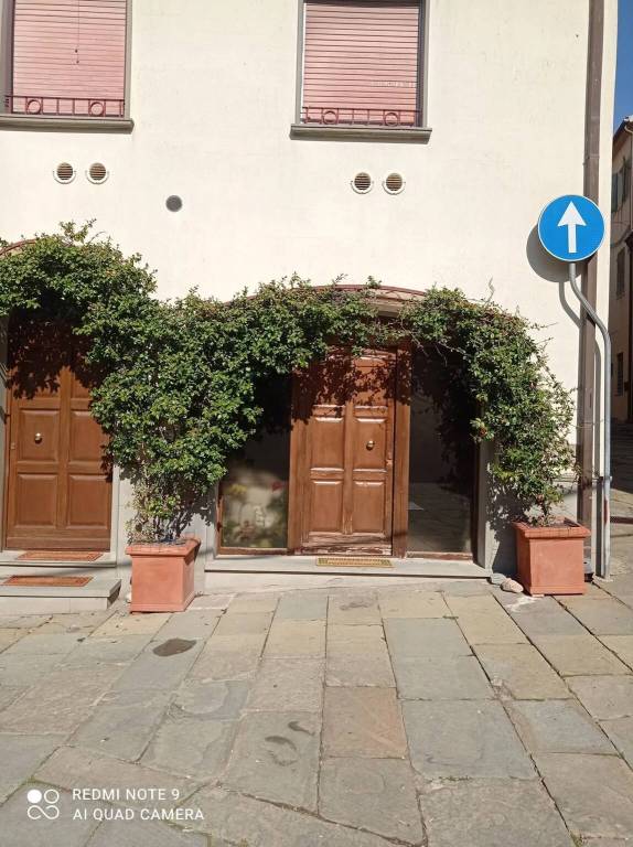 appartamento in vendita a Magliano in Toscana in zona Montiano