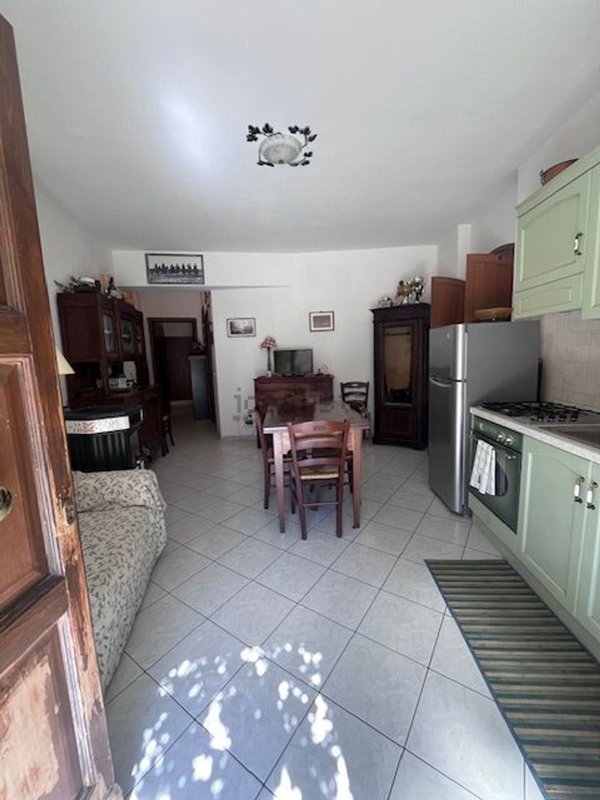 appartamento in vendita a Magliano in Toscana in zona Montiano