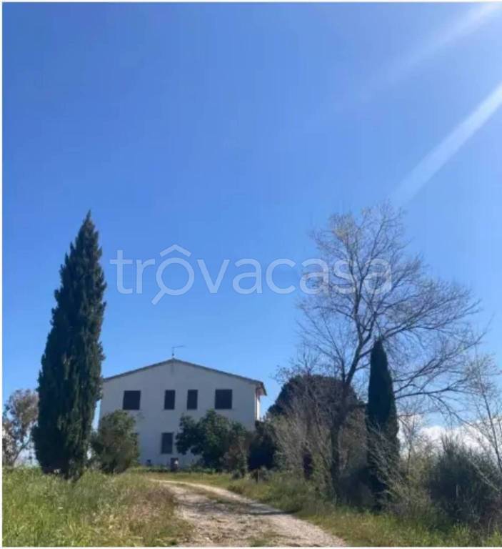 casa indipendente in vendita a Magliano in Toscana in zona Montiano