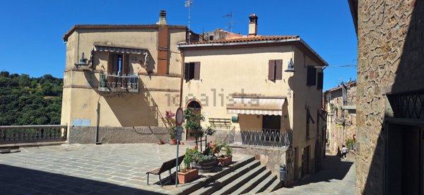 appartamento in vendita a Magliano in Toscana in zona Pereta