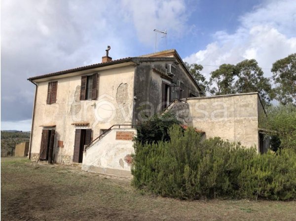 casa indipendente in vendita a Magliano in Toscana