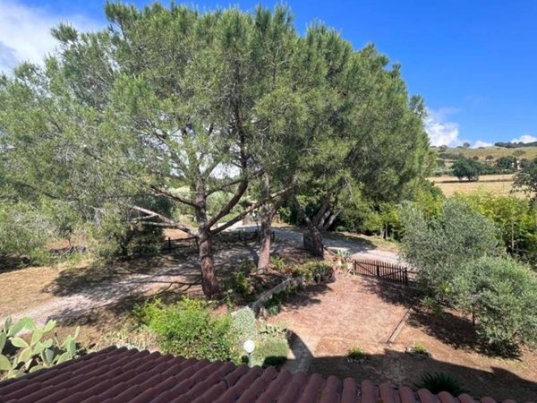 appartamento in vendita a Magliano in Toscana in zona Montiano