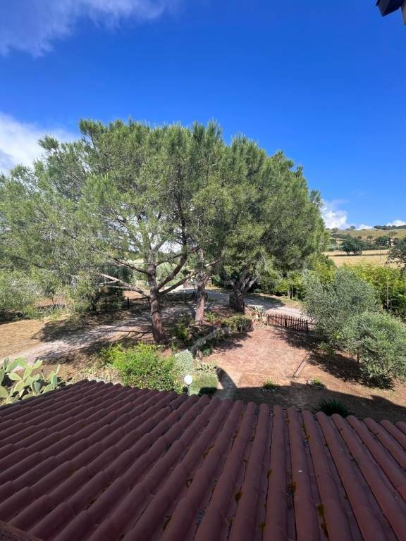 appartamento in vendita a Magliano in Toscana in zona Montiano