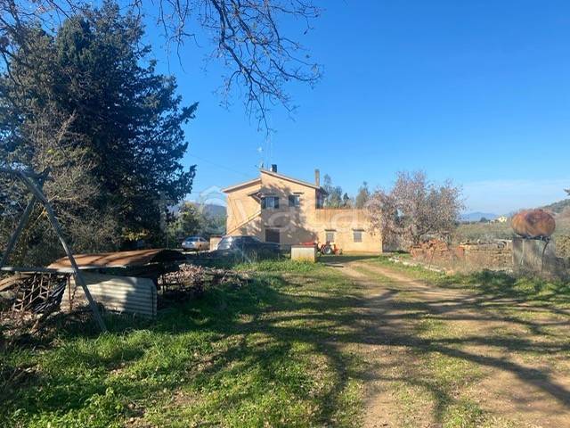 casa indipendente in vendita a Magliano in Toscana