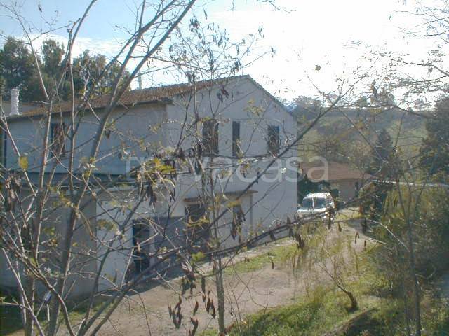 casa indipendente in vendita a Magliano in Toscana in zona Montiano