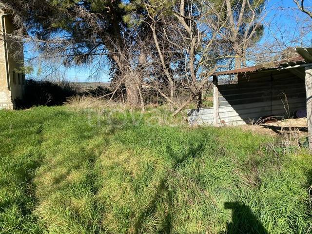 casa indipendente in vendita a Magliano in Toscana in zona Montiano