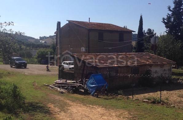 casa indipendente in vendita a Magliano in Toscana