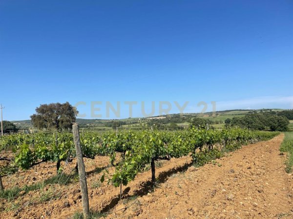 casa indipendente in vendita a Magliano in Toscana