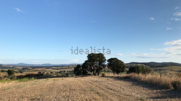 appartamento in vendita a Magliano in Toscana