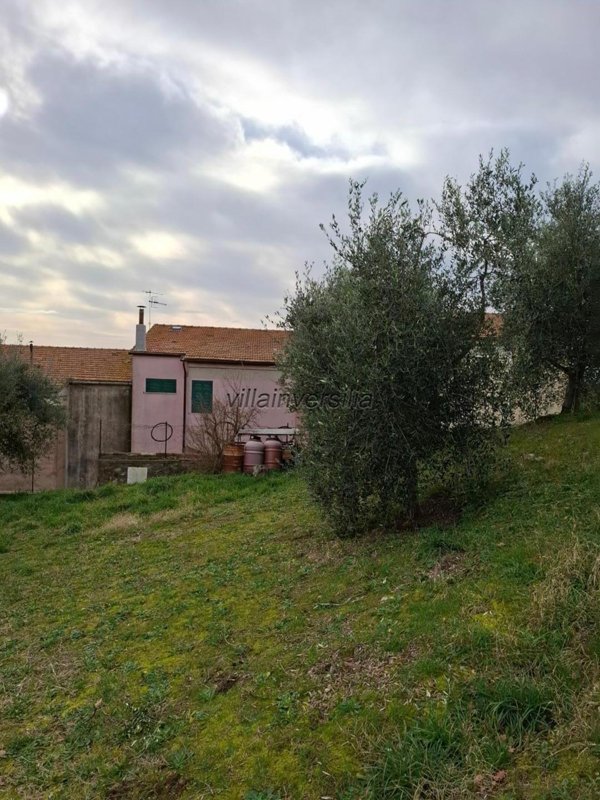 casa indipendente in vendita a Magliano in Toscana