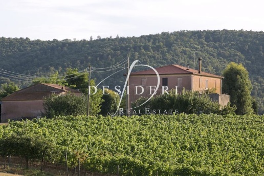 casa indipendente in vendita a Magliano in Toscana