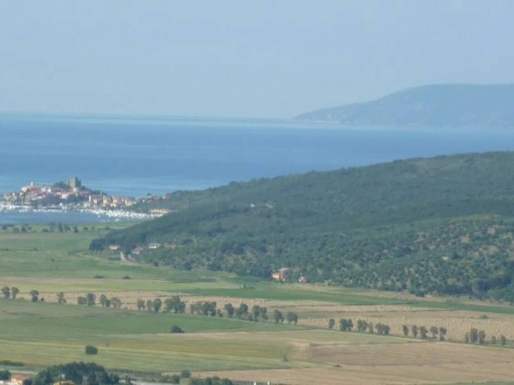 terreno agricolo in vendita a Magliano in Toscana