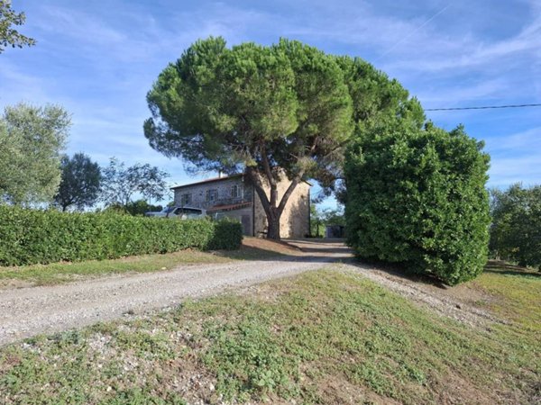 negozio in vendita a Magliano in Toscana