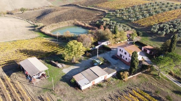 casa indipendente in vendita a Magliano in Toscana