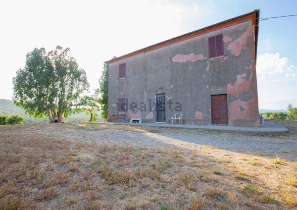 appartamento in vendita a Magliano in Toscana