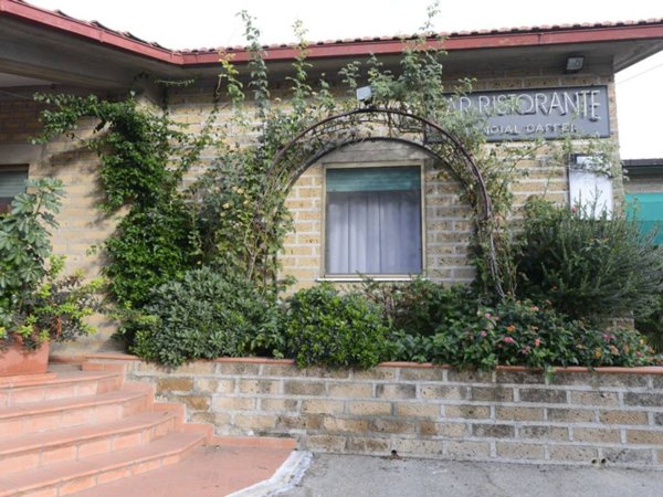 negozio in vendita a Magliano in Toscana