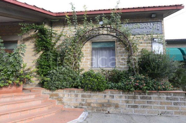 negozio in vendita a Magliano in Toscana