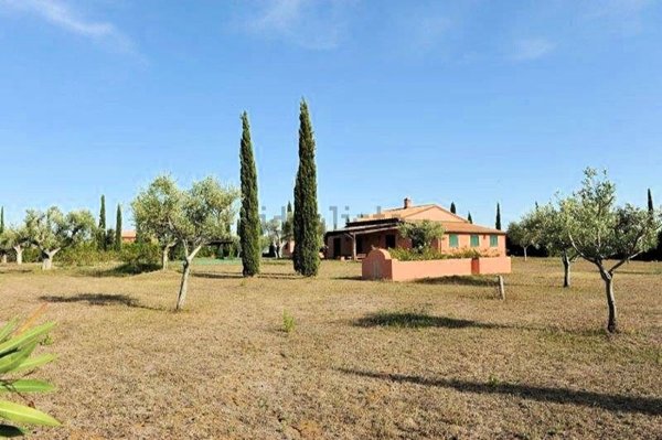 casa indipendente in vendita a Magliano in Toscana