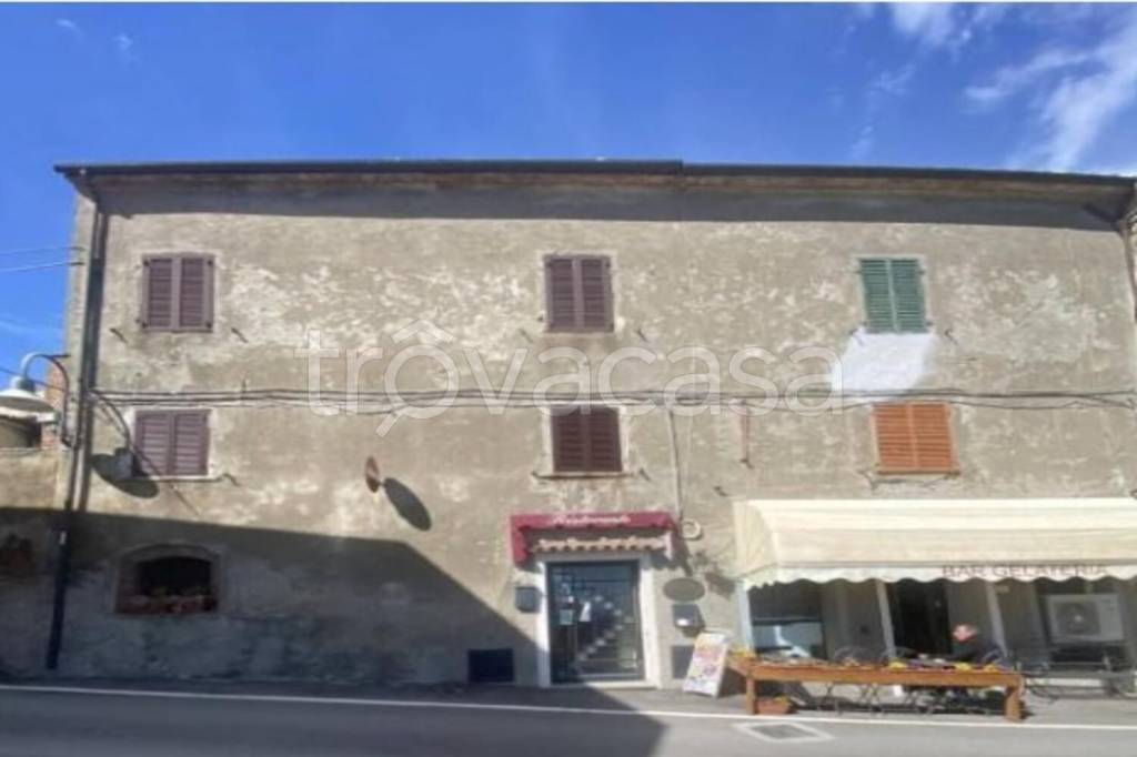 negozio in vendita a Magliano in Toscana in zona Montiano