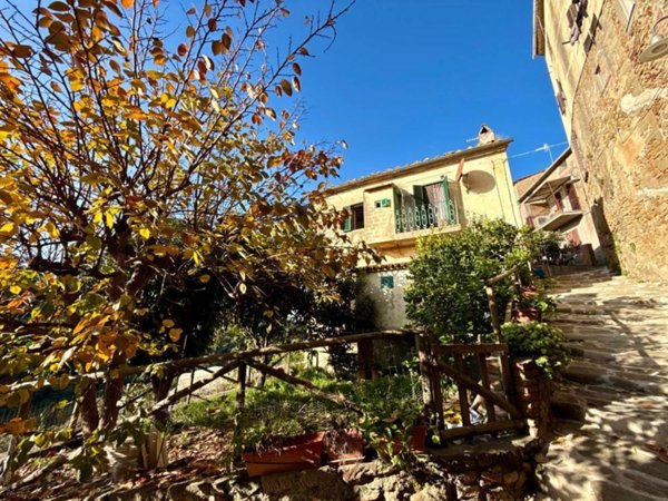 casa indipendente in vendita a Magliano in Toscana in zona Pereta