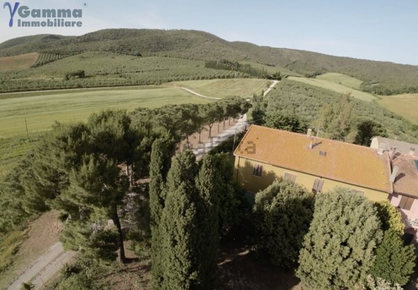 esavano in vendita a Magliano in Toscana in zona Montiano