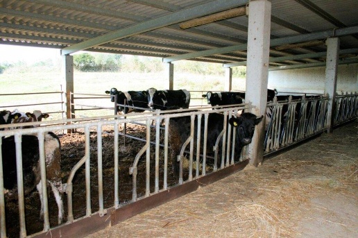 locale di sgombero in vendita a Magliano in Toscana in zona Montiano