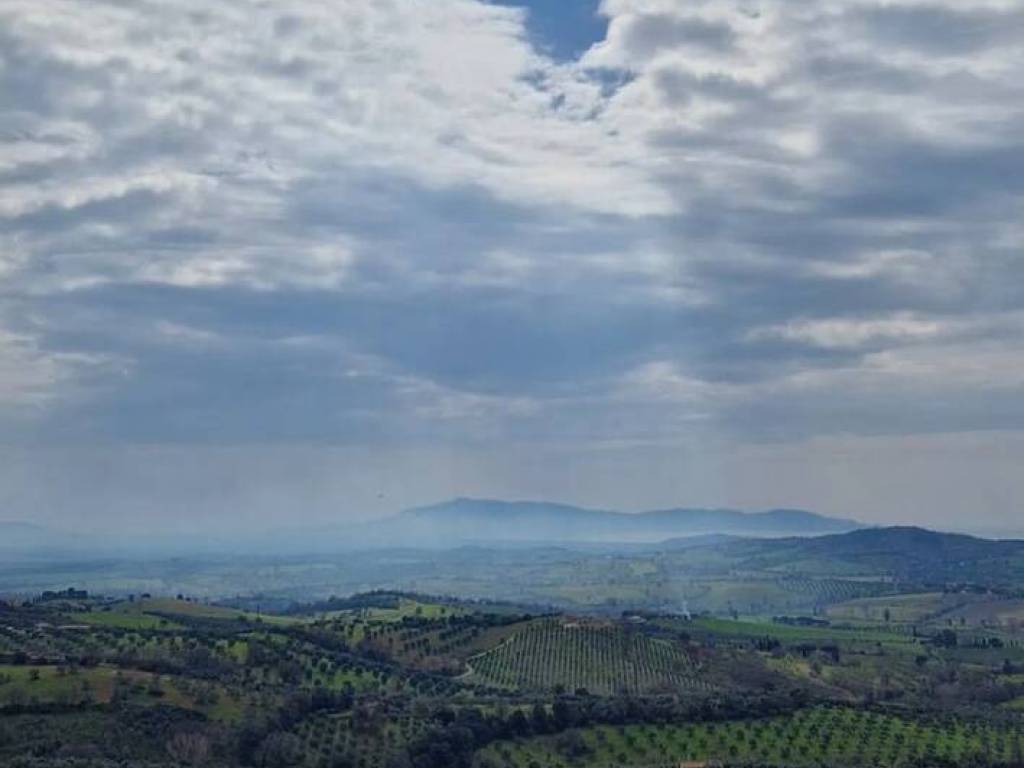 appartamento in vendita a Magliano in Toscana in zona Montiano