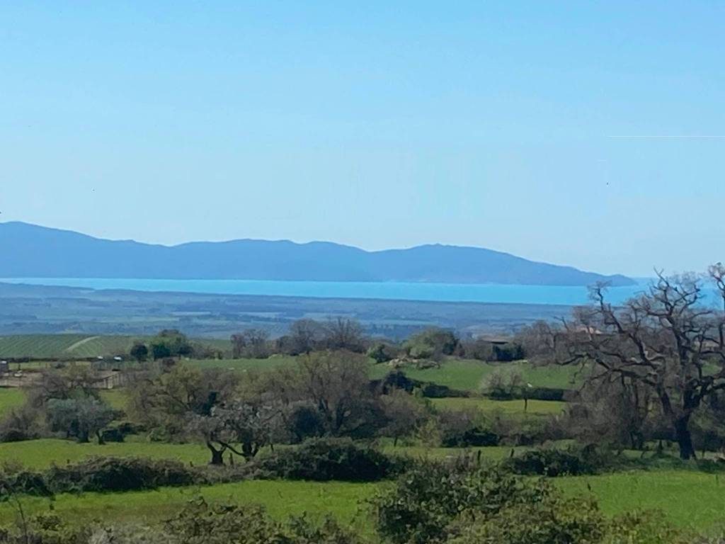 casa indipendente in vendita a Magliano in Toscana