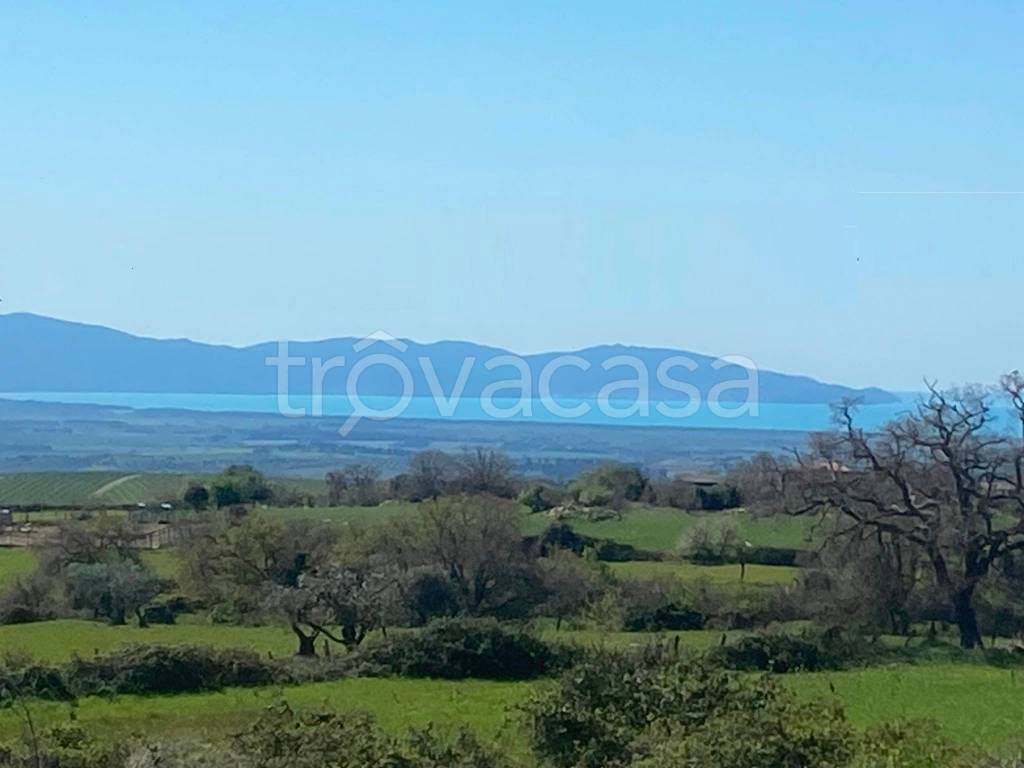 casa indipendente in vendita a Magliano in Toscana